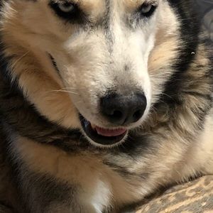 Meet your Posher, Vicki